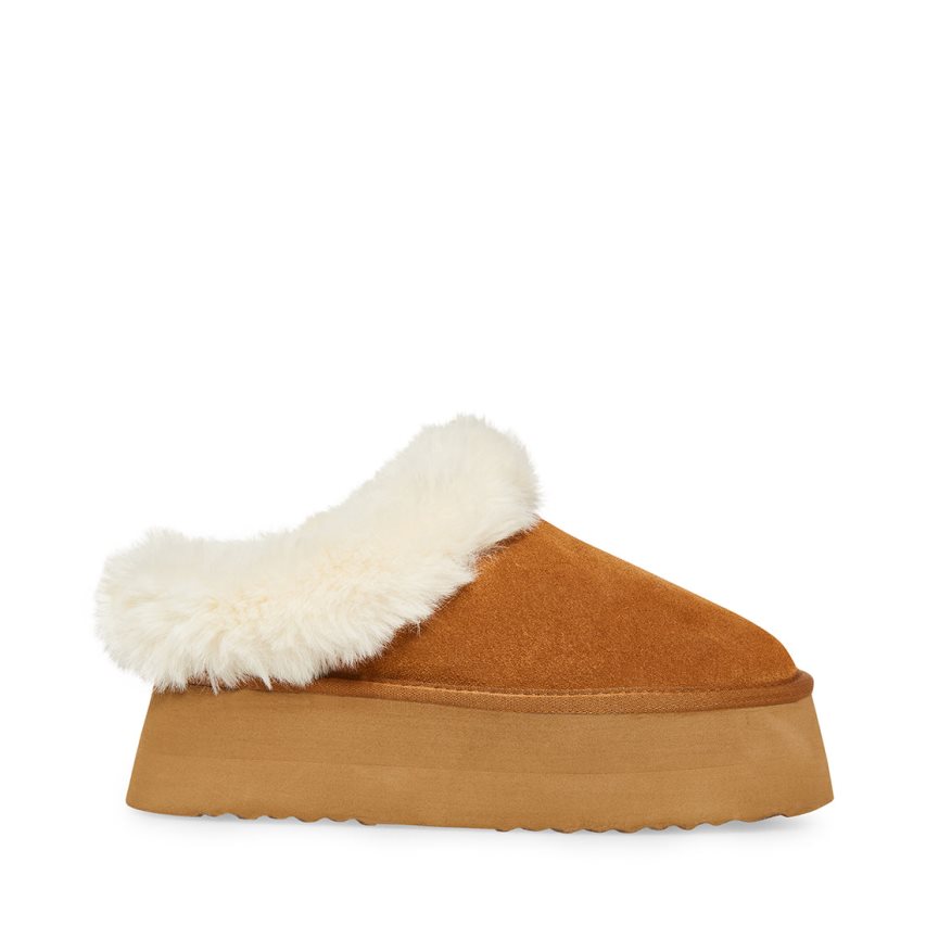 Botas de Nieve Steve Madden Chaplin Gamuza Mujer Marrones | ES DS218S